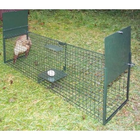 Piège attraper des martres, lapins, et Chats, piege cage 27cm