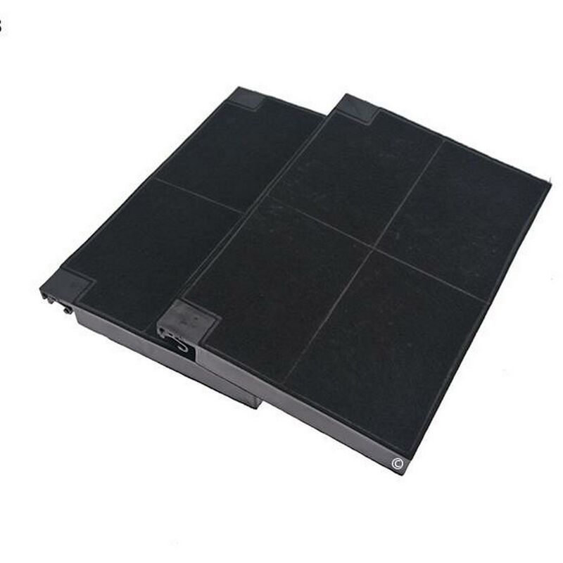 Lot 2 Filtres Charbons ROBLIN 5403002 225X155X20 Mm (5403002