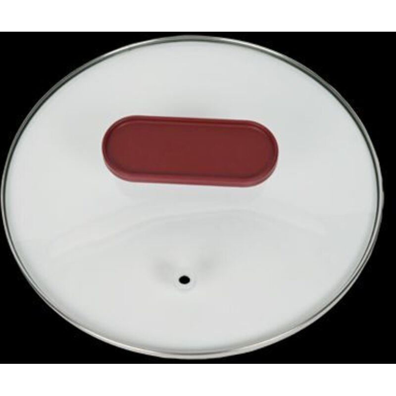 Couvercle En Verre Pour Cuiseur Vapeur MOULINEX SS-993201 - Pièce De Rechange Transparente