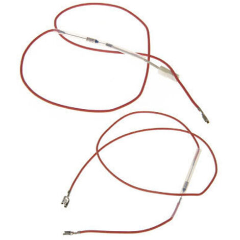 Lot de 2 fusibles