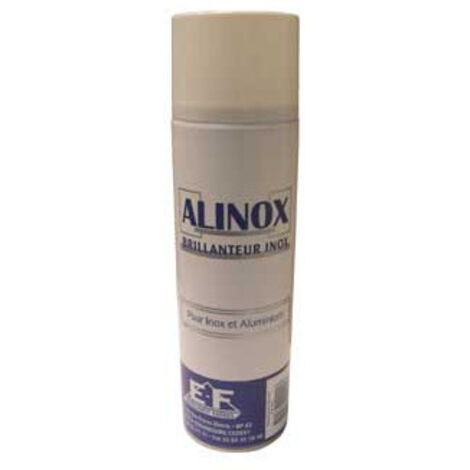 Bombe aérosol de nettoyage inox 300 ml – Protection et entretien surfaces acier inoxydable – Usage domestique et professionnel