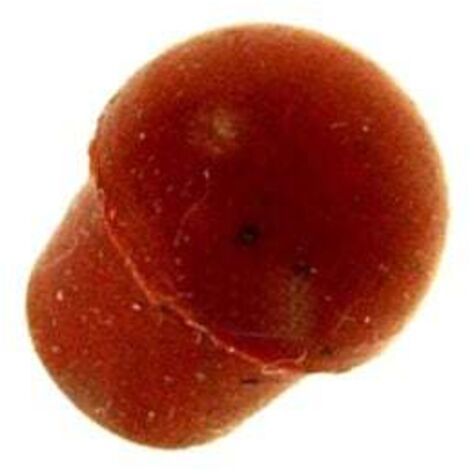 Bouton de soupape (1/2)