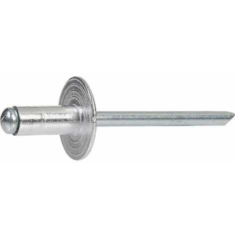 Rivet tête large - diamètre 4,8 mm - 10 mm - Boîte de 500 - Rifix