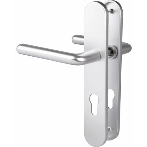 Poignée de porte d'entrée - New camelia sup - Eurowale - Gris argent - Clé I - 195 mm