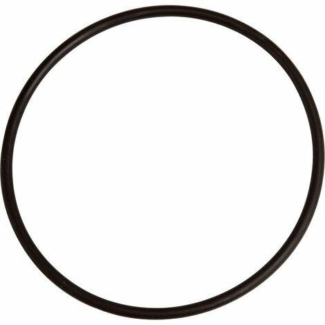 Apic – Joint torique pour filtre à eau double – Caoutchouc 10 cm diamètre – Épaisseur 1 cm – Performance optimale pour filtration