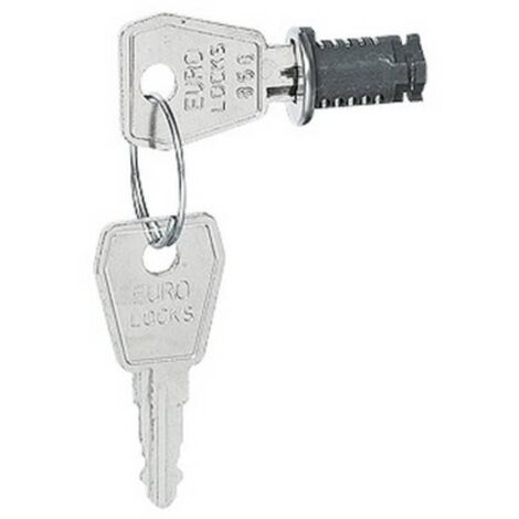 SERRURE AÂ CLÉ N° 850 - POUR COFFRETS PLEXO LEGRAND