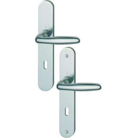 Poignée de porte intérieure - Verona - Hoppe Et Cie - Gris argent - Condamnation - 195 mm