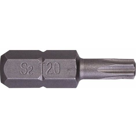 Embout Trempe dure Torx T20 - 25 mm - Riss