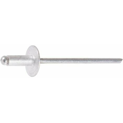 Rivet tête large - diamètre 4,8 mm - 30 mm - Boîte de 250 - Rifix
