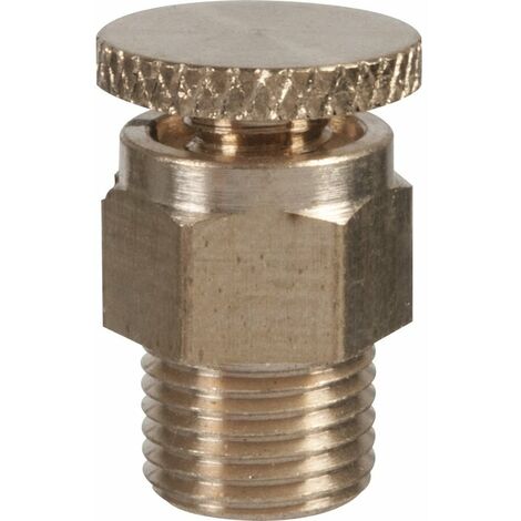 Riquier – Purgeur d'air radiateur à volant – Filetage mâle 1/4' – Laiton résistant à la corrosion – Évacuation efficace de l'air
