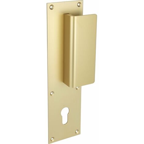 Duval Bilcocq – Poignée de porte palière sur plaque – Aluminium anodisé champagne – 250mm x 70mm – Installation réversible – Pour porte d'entrée