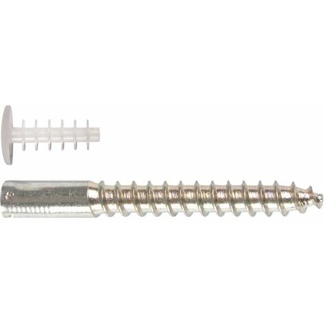 Ing Fixation – Cheville pour scellement chimique Fix-Asphalte 100mm – Boîte de 25 – Pour béton armé et chantiers humides
