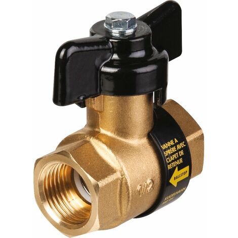 Robinet à boisseau sphérique avec clapet anti-retour intégré BALLSTOP 1" Caleffi 323060  1"