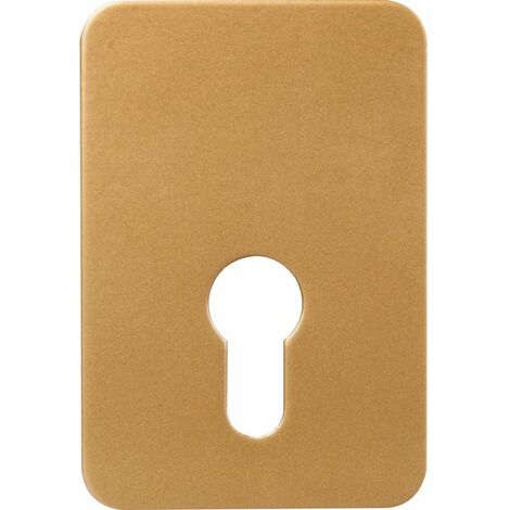 Plaque de renfort pour porte – Compatible cylindre européen – Fixation vis métaux – Finition époxy or pour sécurité renforcée – Exem
