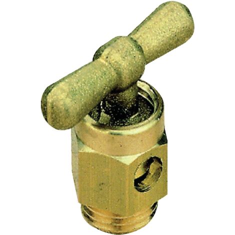 Watts – Robinet purgeur 8x13 – Laiton brossé – Système de raccordement fileté – Accès facile pour évacuation air