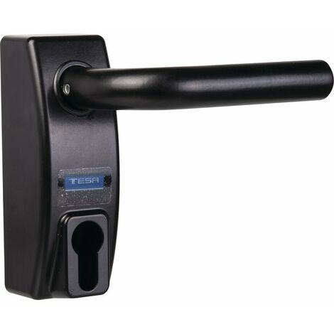 MODULE A BEQUILLE CYLINDRE NR TESA ASSA ABLOY MMODMBSCNE