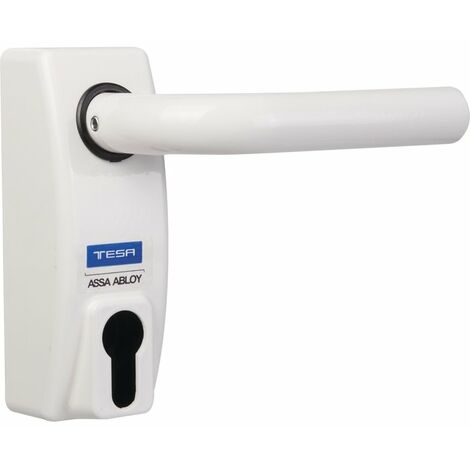 MODULE A BEQUILLE CYLINDRE BLANC TESA ASSA ABLOY MMODMBSCBL