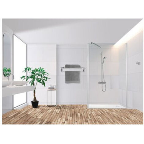 Paroi de douche fixe Transparence Odyssea - 100 x 200 cm