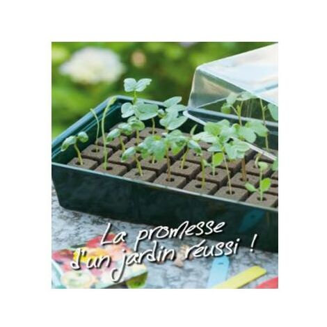 esschert Mini Serre 29 cm : : Jardin