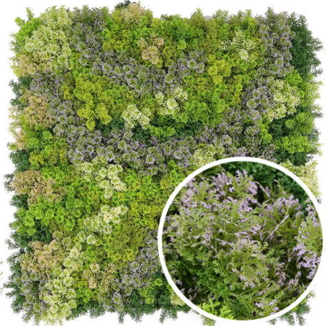Mur végétal artificiel Mousse 1m x 1m, Long 29 m