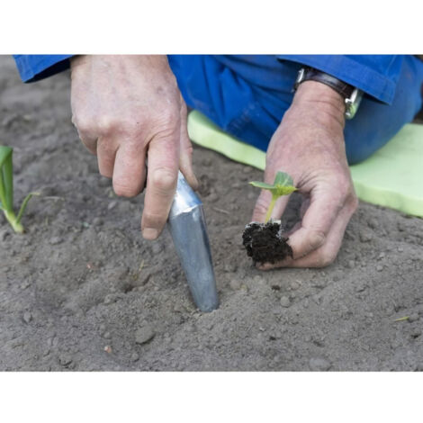 Plantoir conique en métal - 29 cm pour le rempotage (1/3)
