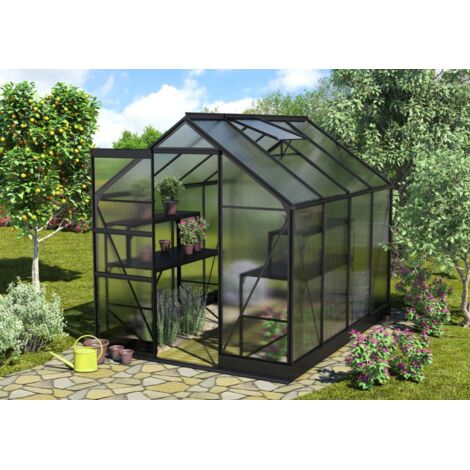 Serre de jardin en polycarbonate Apollo - Larg 1.95m avec base, Long 3.23 m, Couleur Noir, Polycarbonate 6 mm