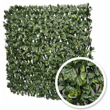 Treillis extensible feuilles de laurier amande - Long 6 m, Hauteur 2 m