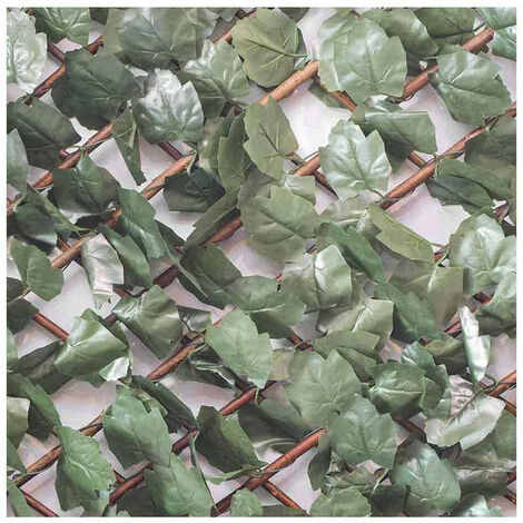 Treillis extensible feuilles de lierre, L 2 m, Hauteur 1 m