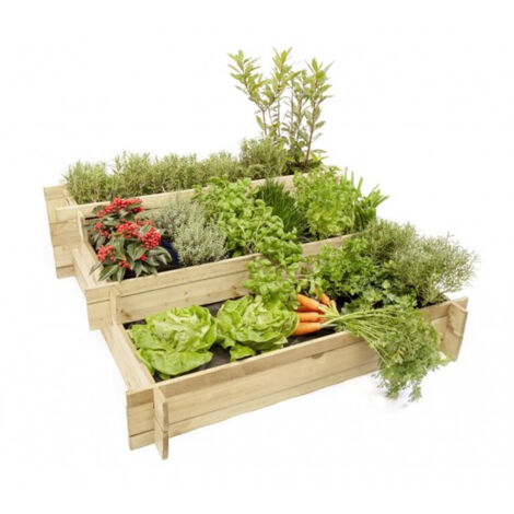 Forestea – Potager surélevé Lipsi 120x120x40 cm – Pin traité classe III – 3 compartiments pour légumes et herbes – Capacité 470 litres (1/2)