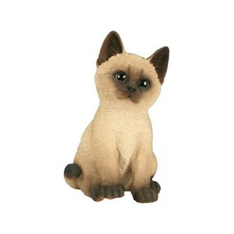 Chaton Assis Beige Cm