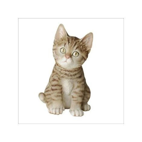Chat assis gris