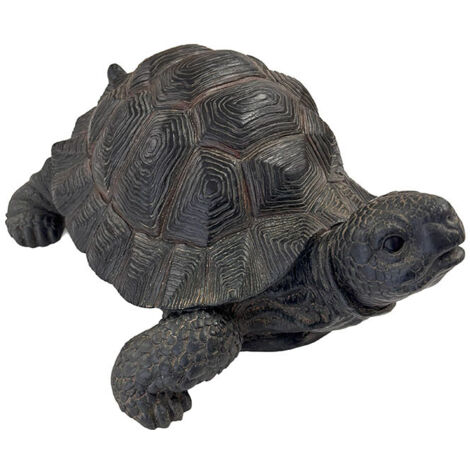 Tortue marron tête haute