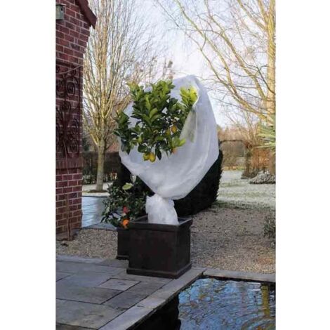 Voile d'hivernage blanc 30g/m², Dimensions 1 x 10 m (1/5)