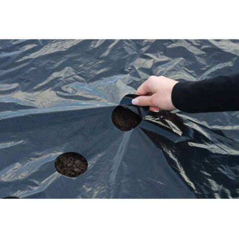 Film de paillage noir 1,40 x 10 m – 490 trous pré-perforés – Traité anti-UV – Limite dessèchement et mauvaises herbes – Nature