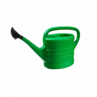 Arrosoir - NATURE - 14 L - Pomme d'arrosage - Vert