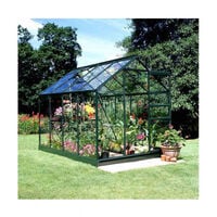 Serre en verre horticole Popular 86 - 5 m², Couleur Forest green, Base Sans base