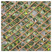 Treillis extensible feuilles de jasmin fleuri, L 2 m, Hauteur 1 m - vert