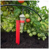 Choisir un arrosage pour plusieurs plantes aux besoins en eau différents