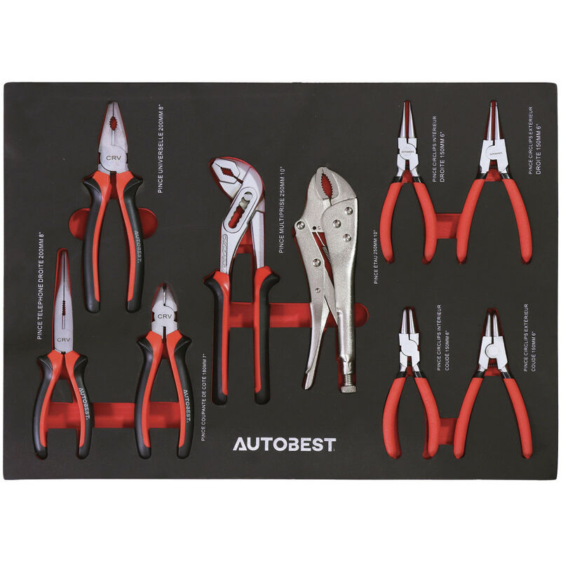 Servante d'atelier complète 6 tiroirs 170 outils - Autobest