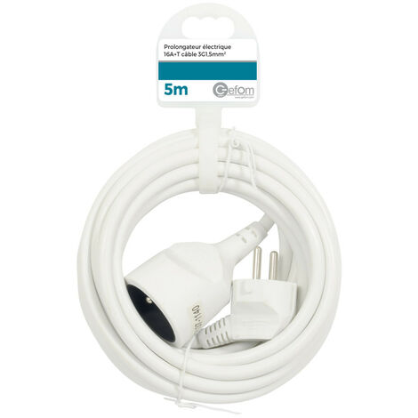Rallonge électrique 5M