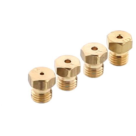 FRIONOR, JEU Plaque Injecteur Gaz Naturel 4G MOD S (1/2)