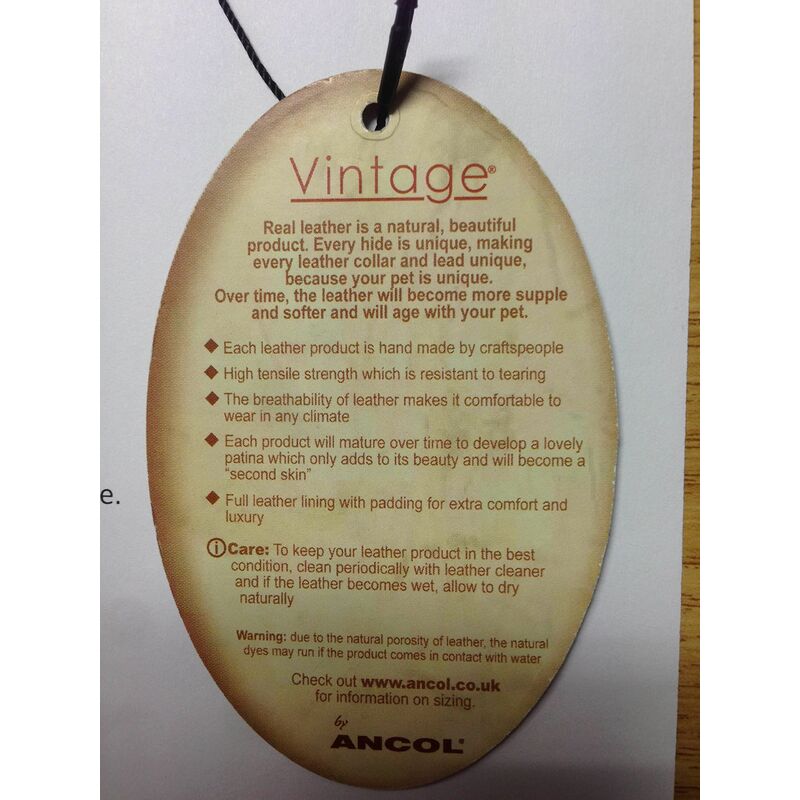 Ancol vintage outlet leather collar