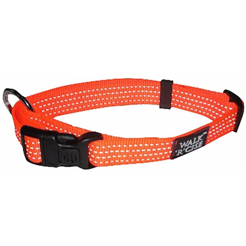 Walk r best sale cise harness small