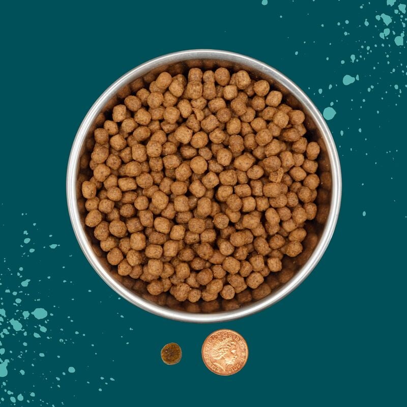 Benevo puppy food 10kg sale