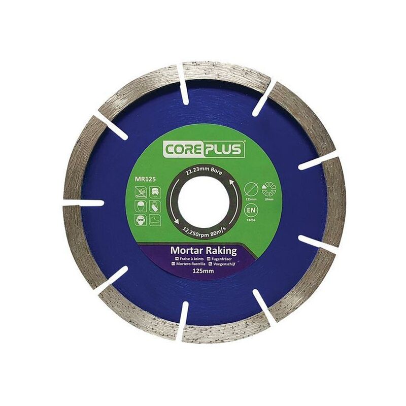 Evolution 230mm, Premium Diamond Disc Cutter Blade With High Diamond  Concentration, Segmented Edge and 22.2mm Bore