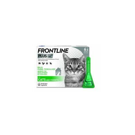 Frontline Plus Cat - 6 Pipettes - 748071