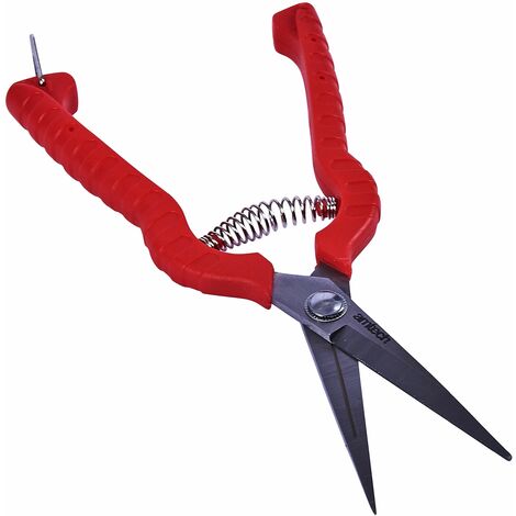 Precision Secateur Stainless Steel - U0285 (1/4)