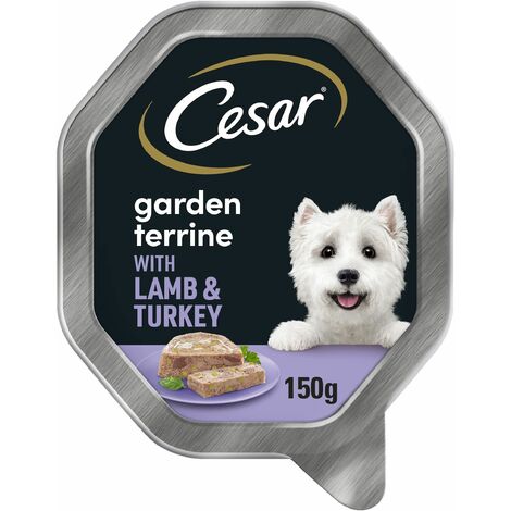 Cesar Garden Terrine Wet Dog Food with Juicy Lamb and Turkey - 730497 (1/5)