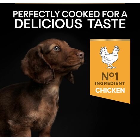 Pro Plan Dog Puppy Small Chicken - 3kg - 196664