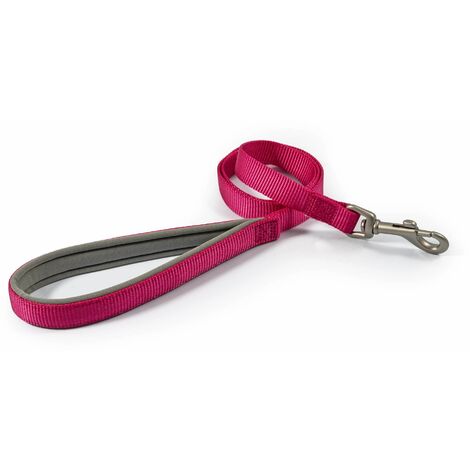 Ancol Nylon Lead Raspberry - 2.5x1 - 124443 (1/5)